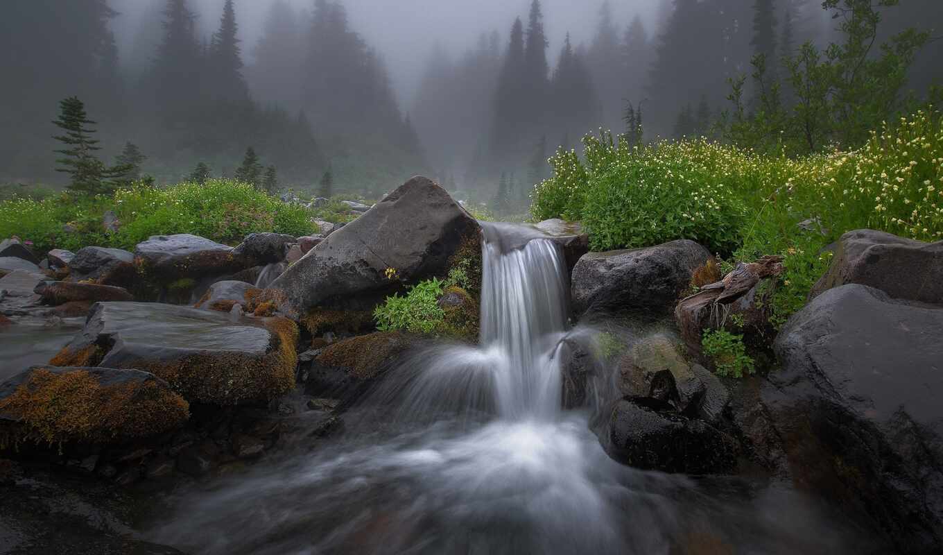 природа, камень, water, река, туман, массаж, ручей