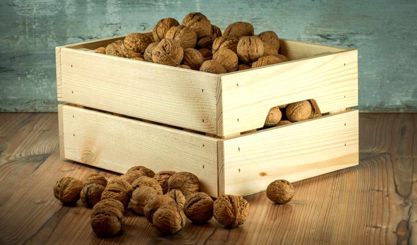 store, domestic, nut, greek nuts