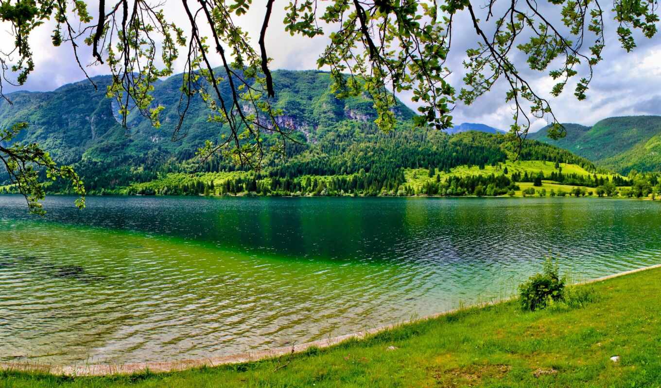 lake, summer, green, mountain, trees, slovenia, bohinj