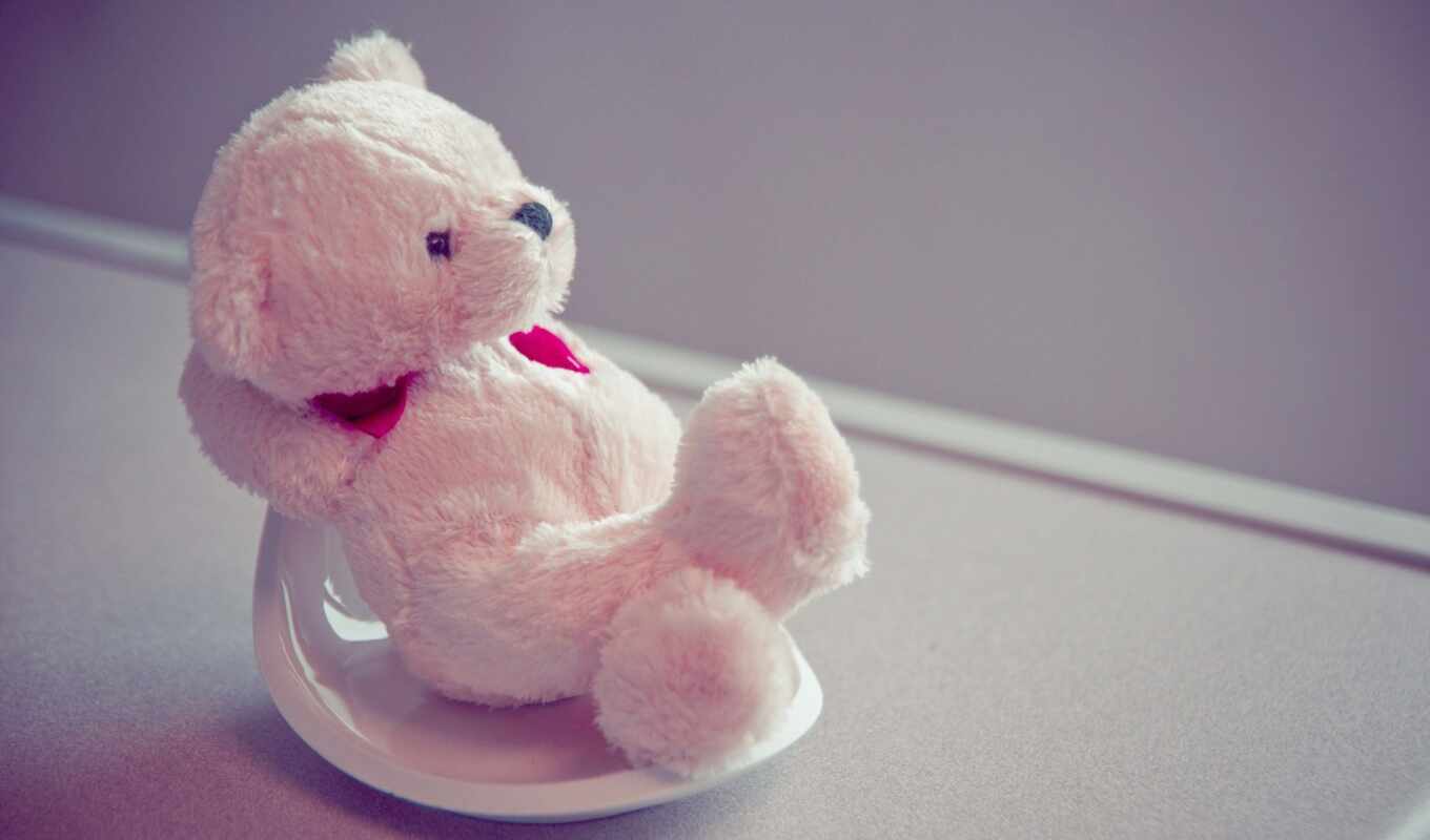 cute, nice, bear, teddy