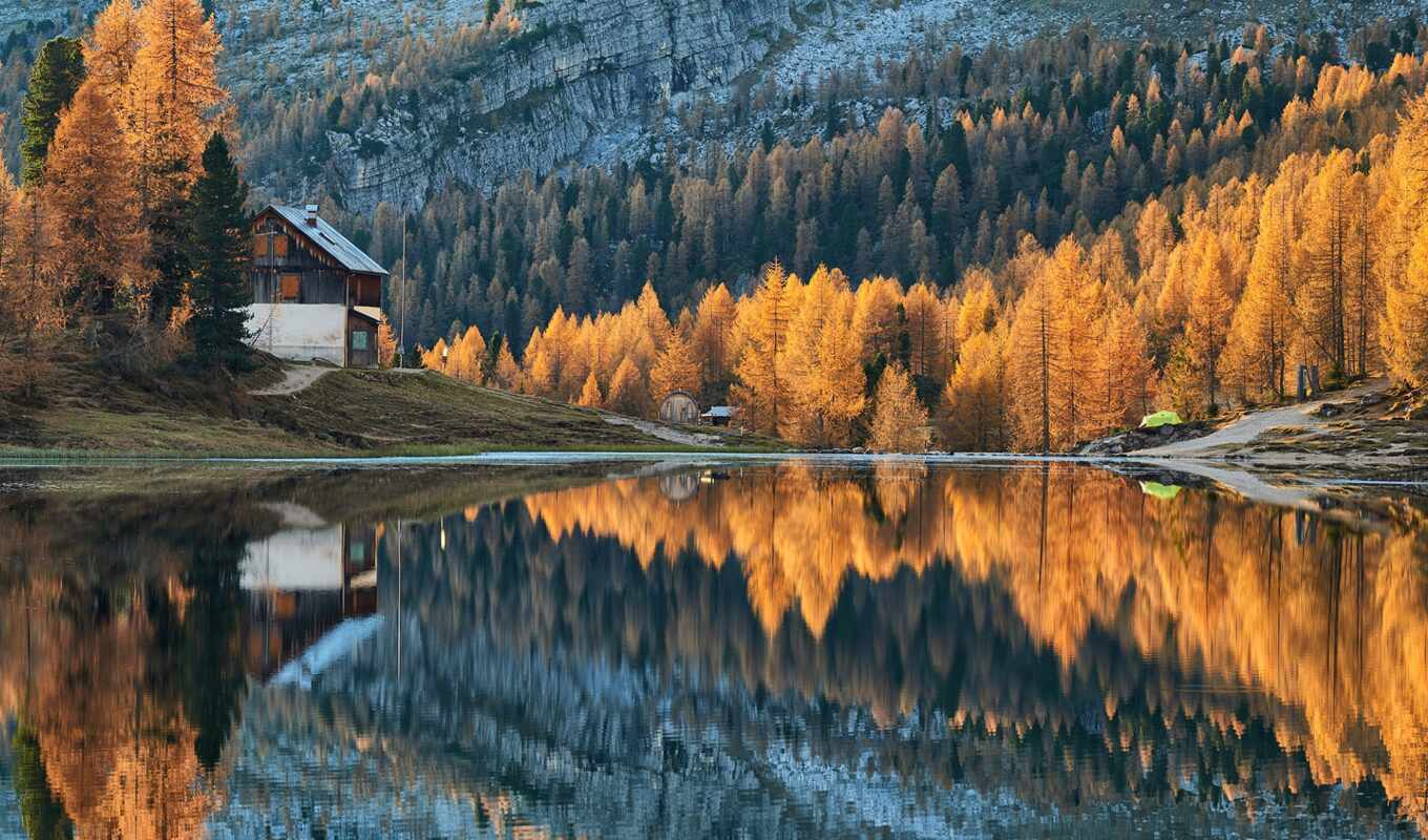 lake, forest, genus, autumn, morning, beautiful