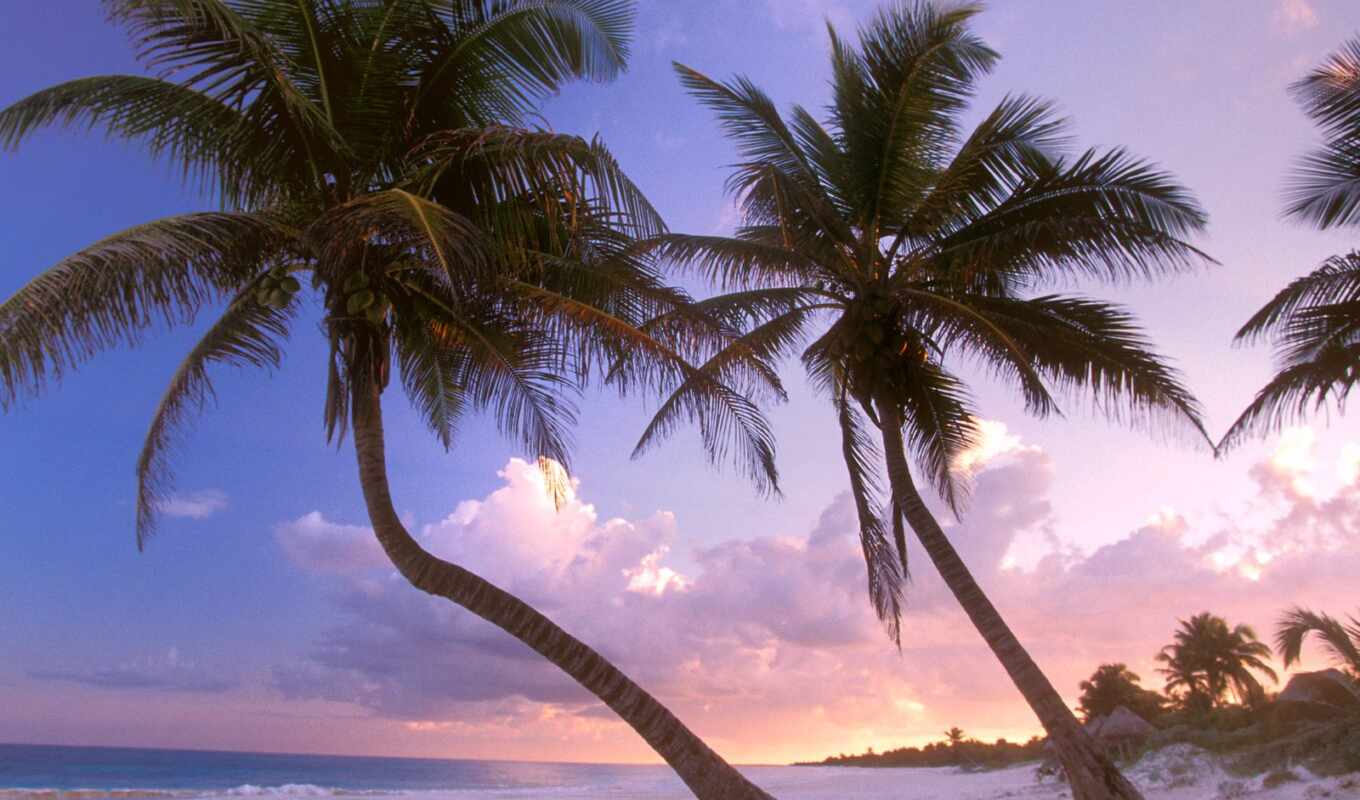 sun, сентябрь, resort, caribe, cancun