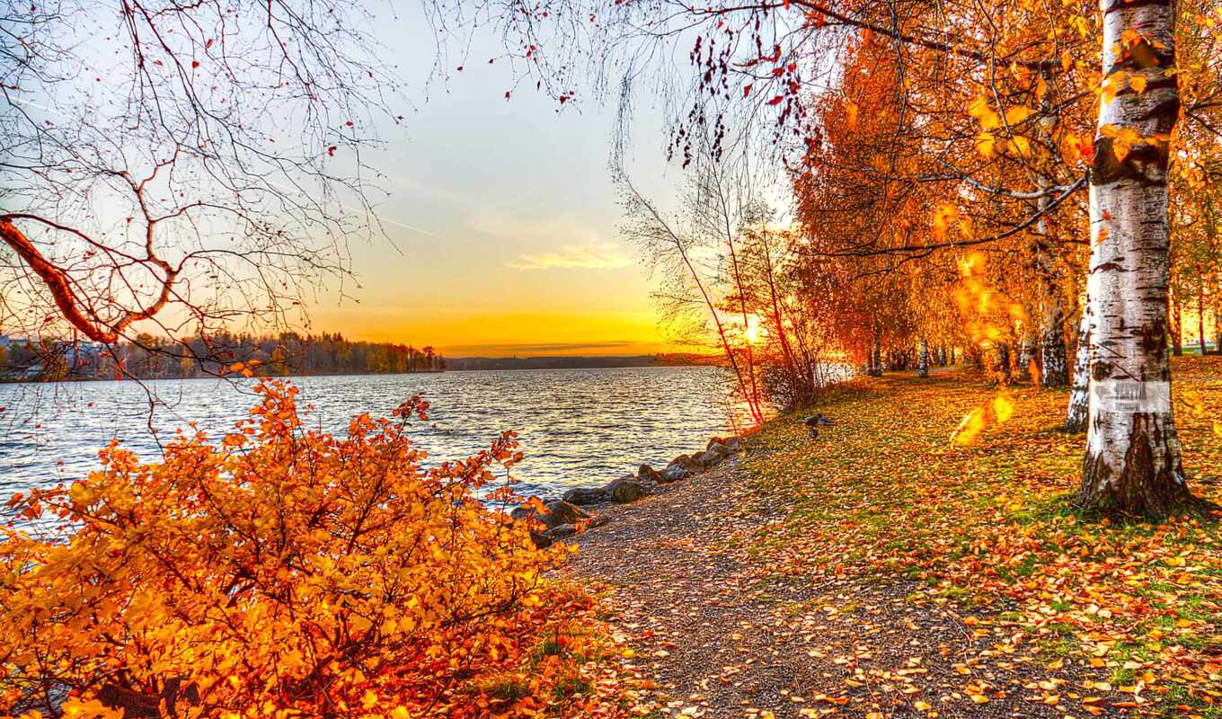 озеро, природа, sun, закат, лес, landscape, осень, листва, разделе, trees