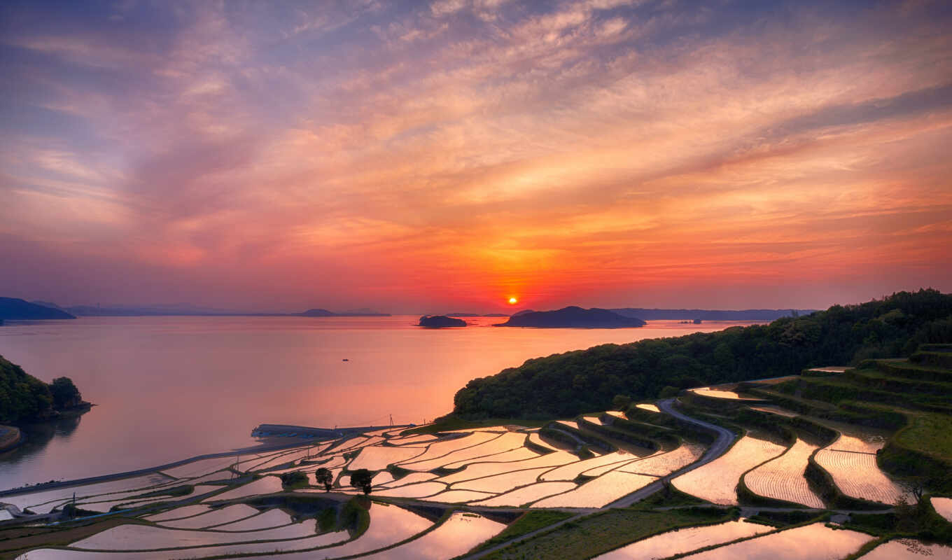 page, sun, sunset, evening, japanese, rice, terraces, prefecture, nagasaki