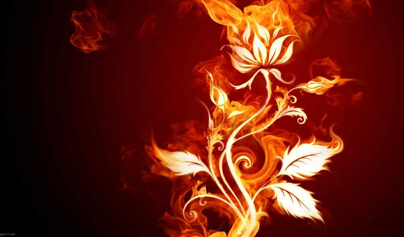 art, цветы, фон, digital, abstract, red, огонь, пламя, burn