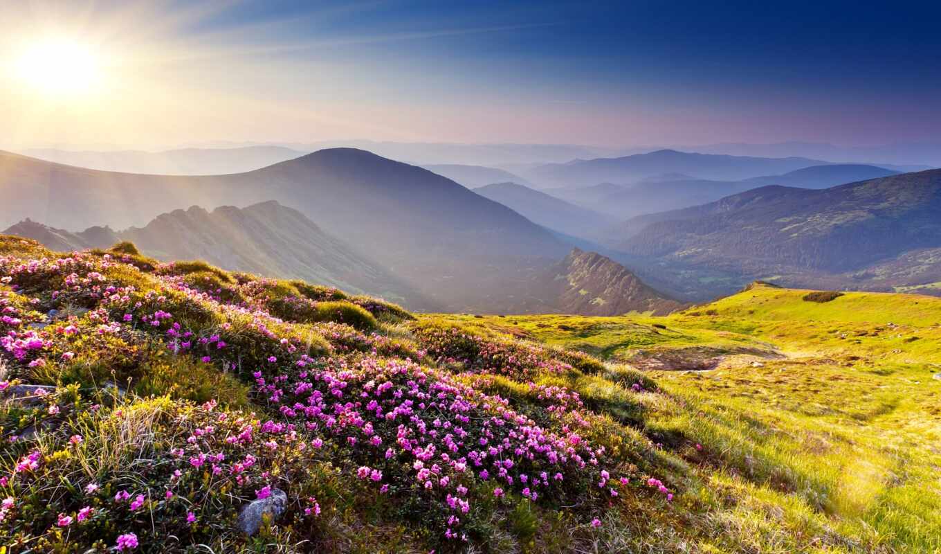 nature, flowers, sun, stone, grass, sunset, mountain, landscape, hill, azali, luchit