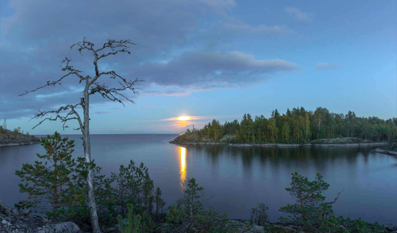 lake, tree, Russia, pic