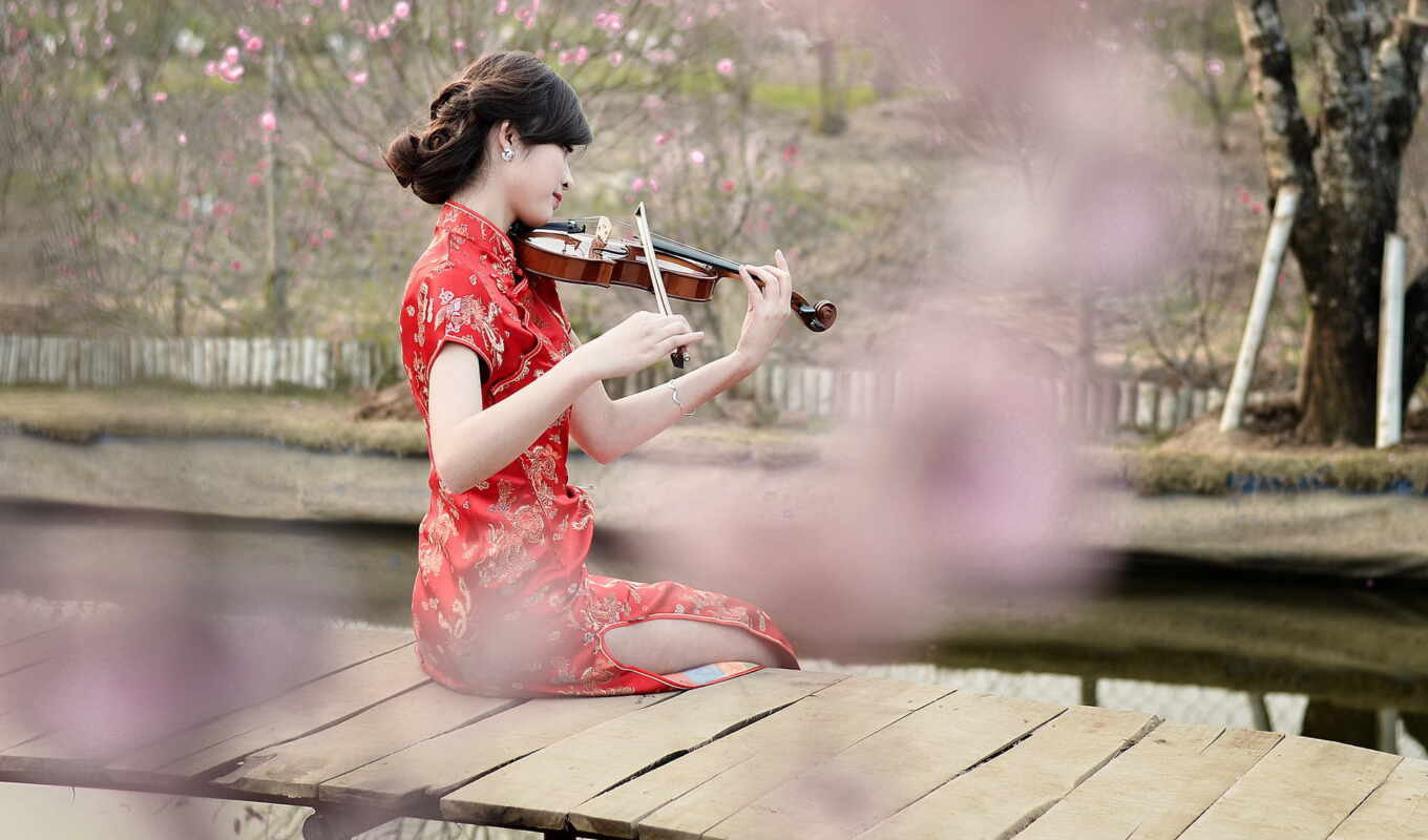 girl, violin, music, tools
