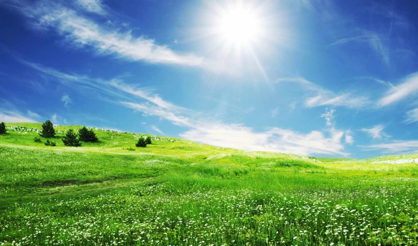 nature, sky, sun, grass, field, green, spring, blue, cloud