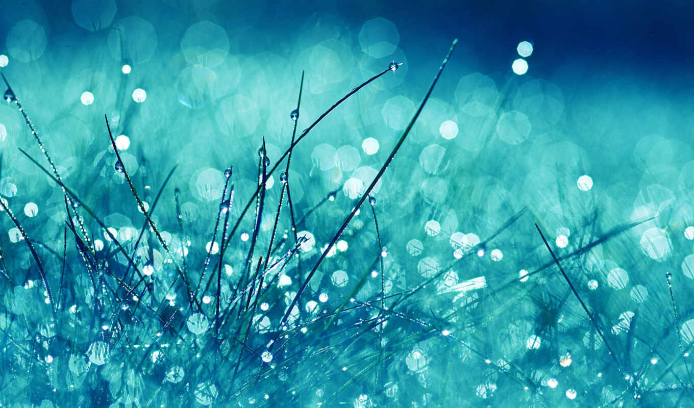 blue, background, rain, grass, fresh, song, brainly, pyi, sverhmir