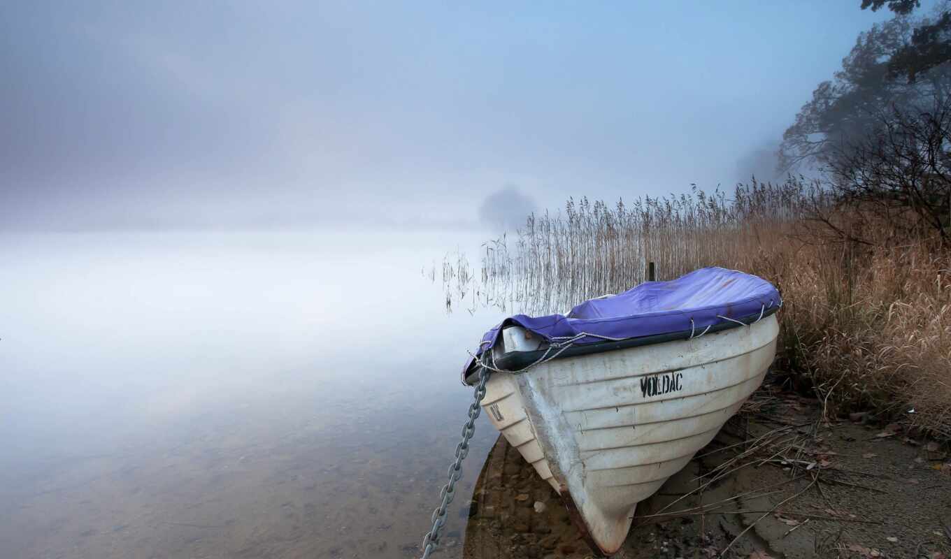 a boat, reed