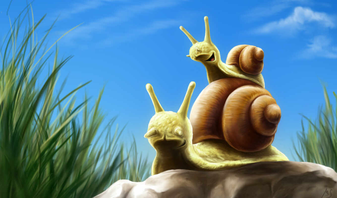 animals, snails, dad, snails