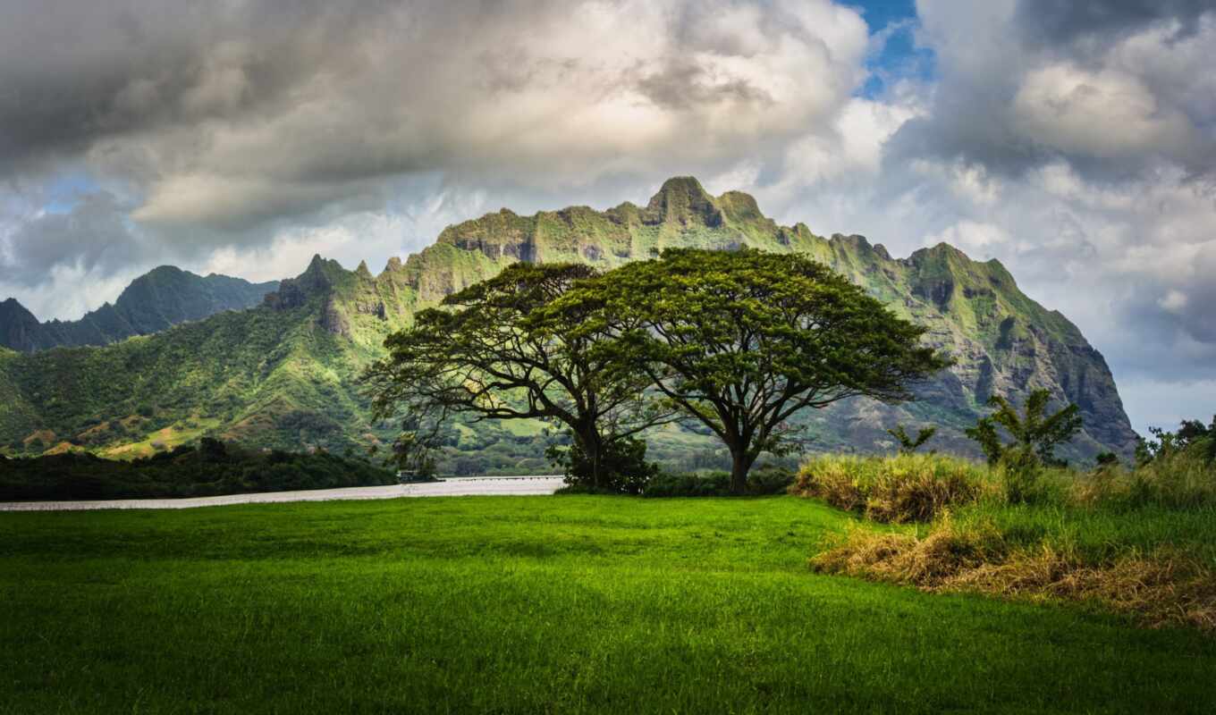 природа, небо, дерево, трава, landscape, hawaii, oahu, ведьмак, oblaka