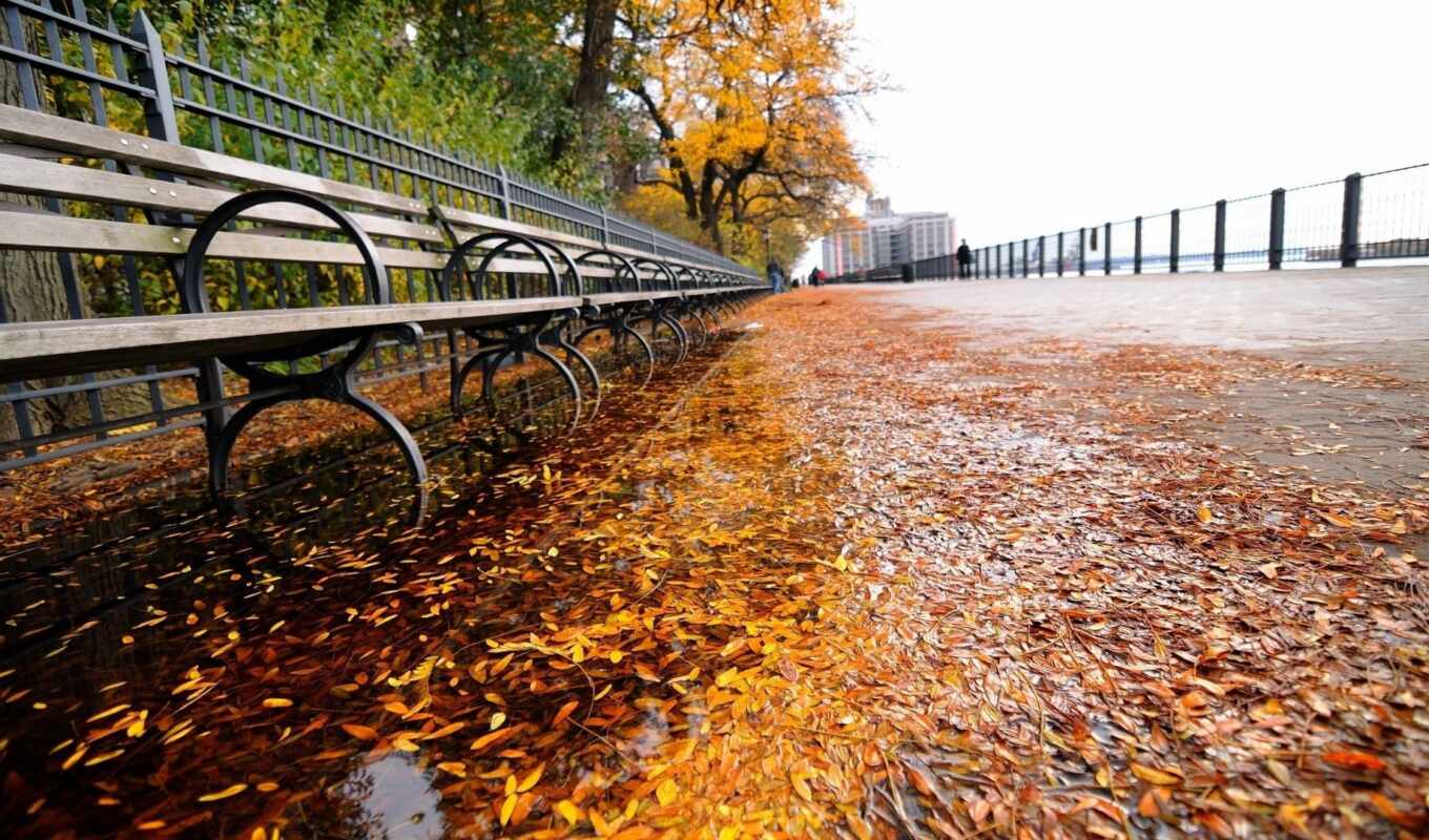 leaves, new, city, autumn, mouth, park, york, bench