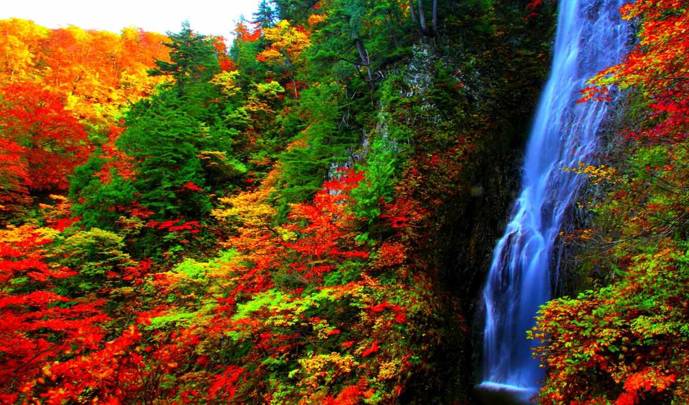 лес, amazing, осень, pin, cascada, bosque, otoño, cascadas