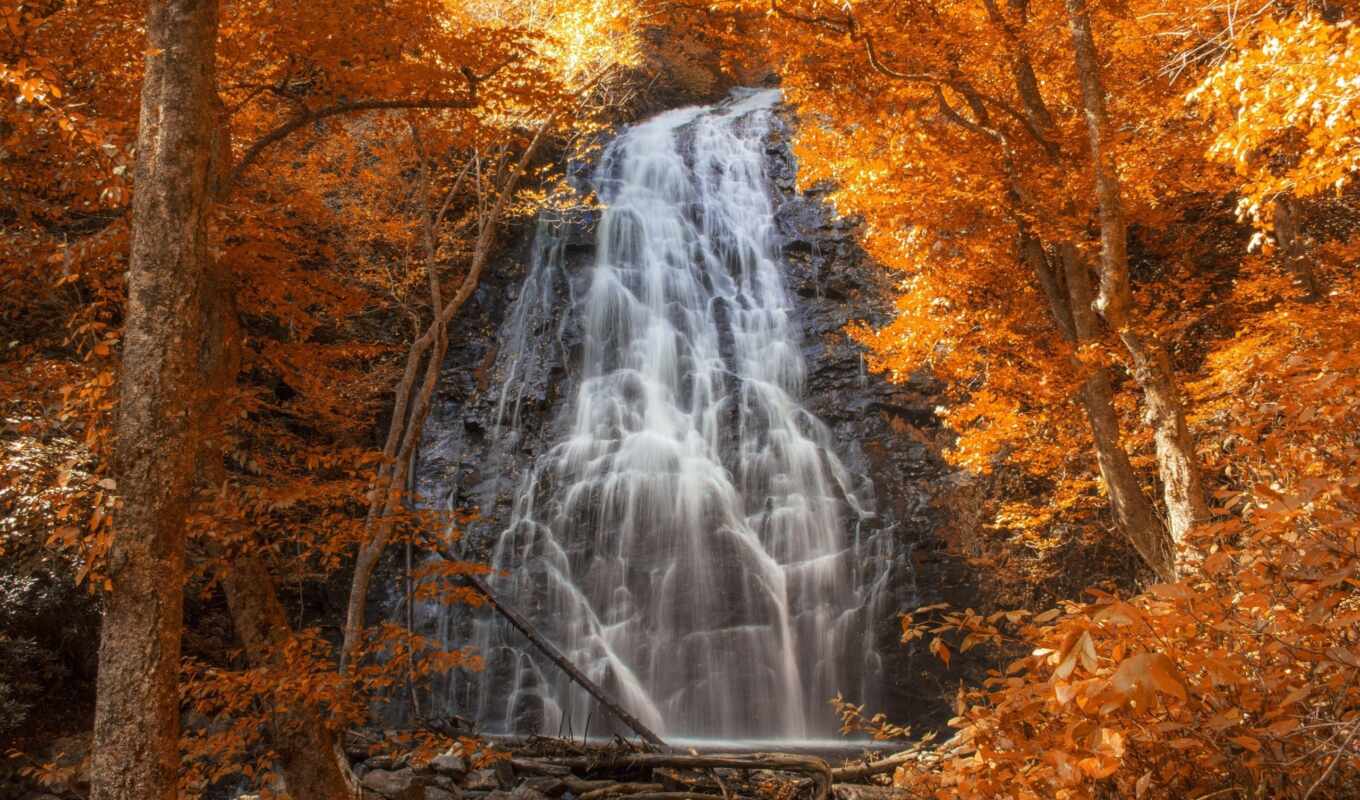 природа, лес, осень, пасть, водопад, falls, oregon, каскад, водопады