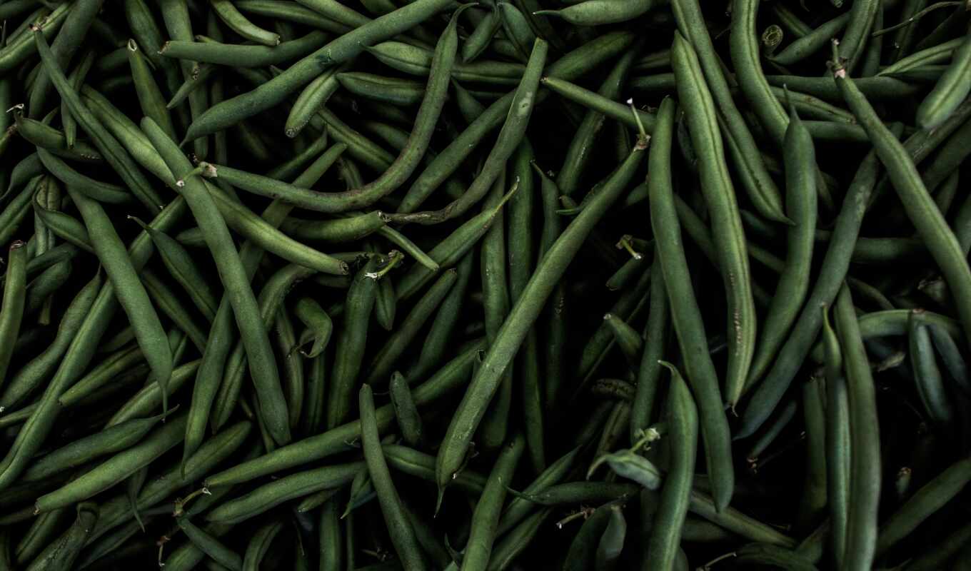 sony, green, green, note, vegetable, darkness, bean, monte, salmon, xper
