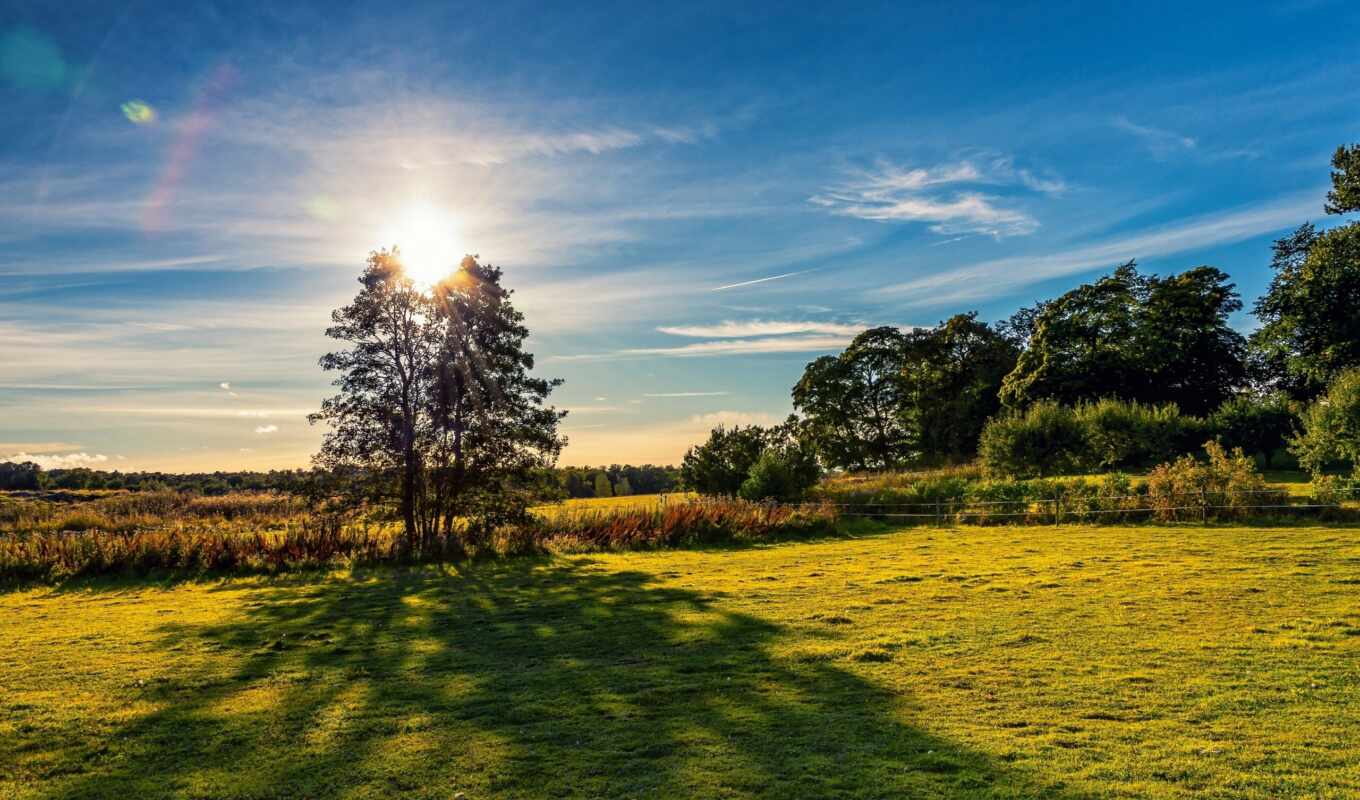 природа, sun, дерево, трава, поле, финляндия