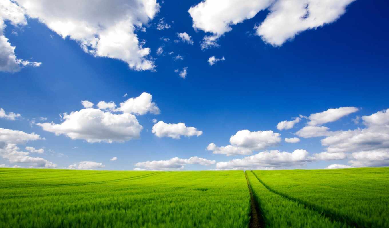 небо, зелёный, трава, банка, поле, планеты, газон, margin, газоны