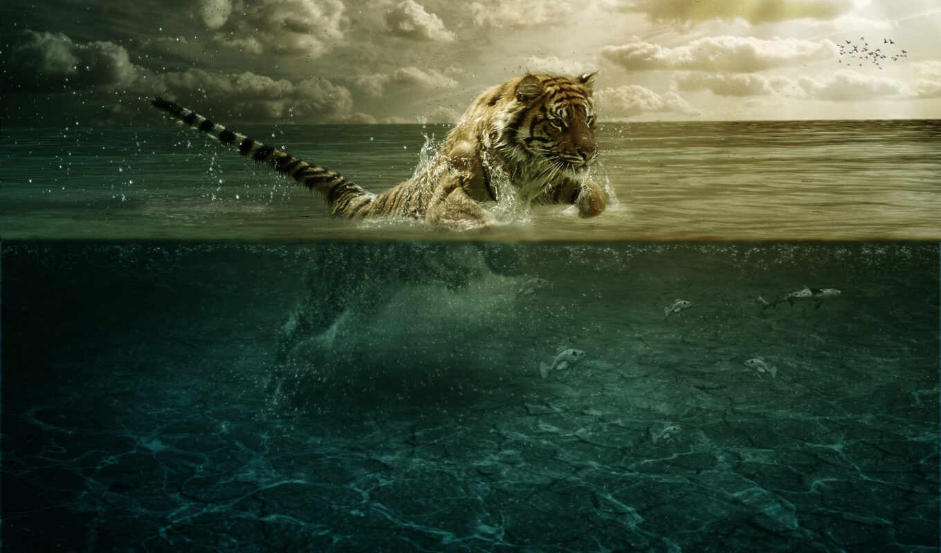 под, world, прыжок, living, тигр, водой