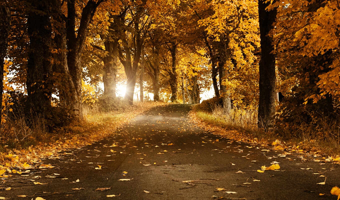autumn, pictures, beautiful, Landscape, nature, manzaralar, sonbahar