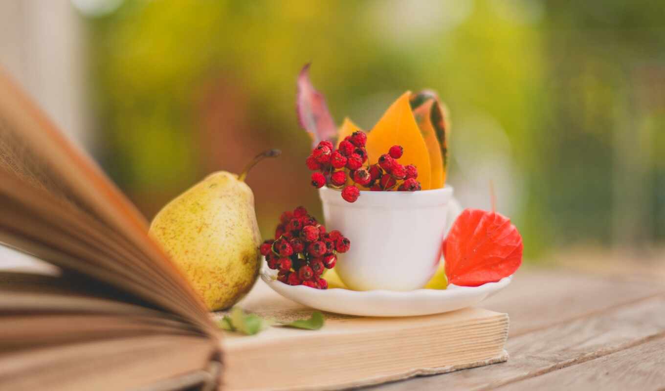 bokeh, яndex, cup, berries, collection, look, collections, effect, still lifes