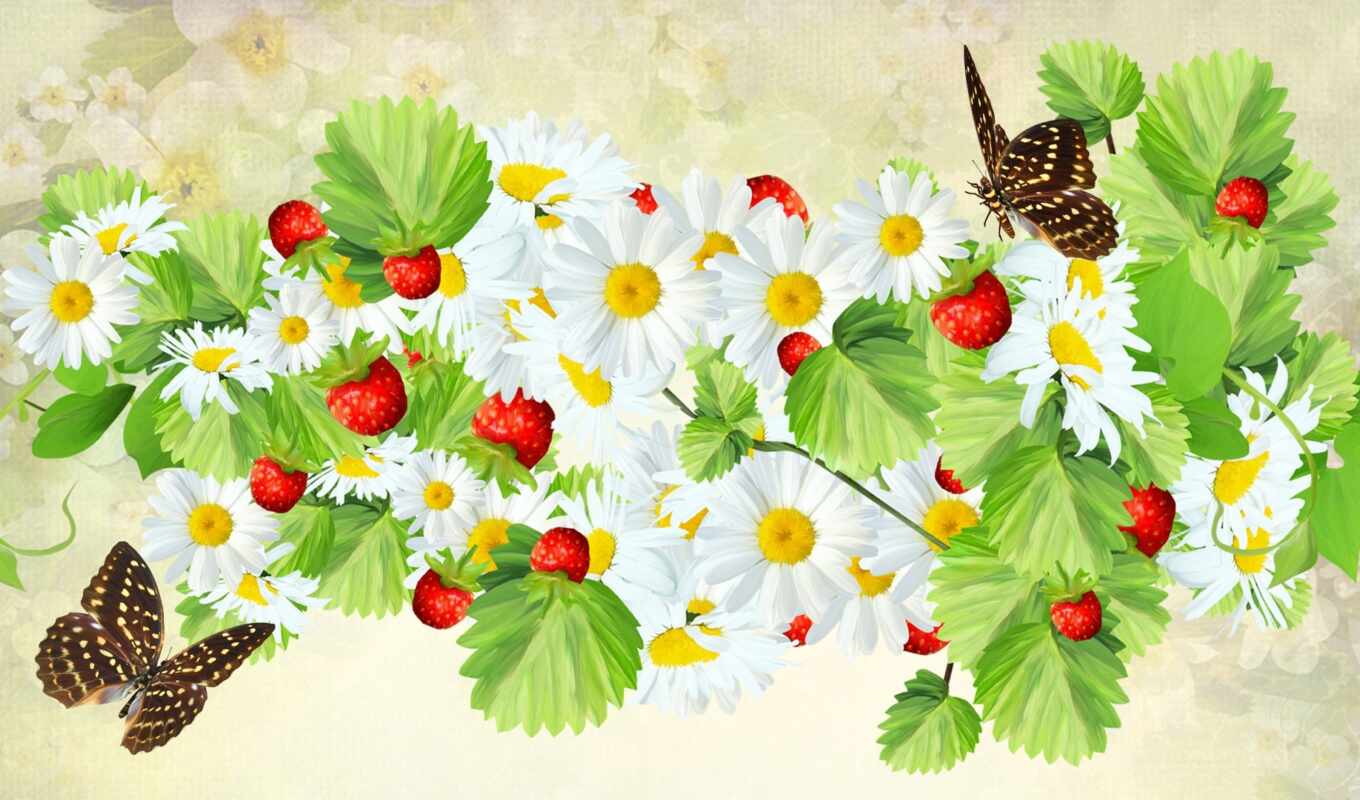 flowers, butterfly, spring, drawn, daisy, chamomile, berry, drawing