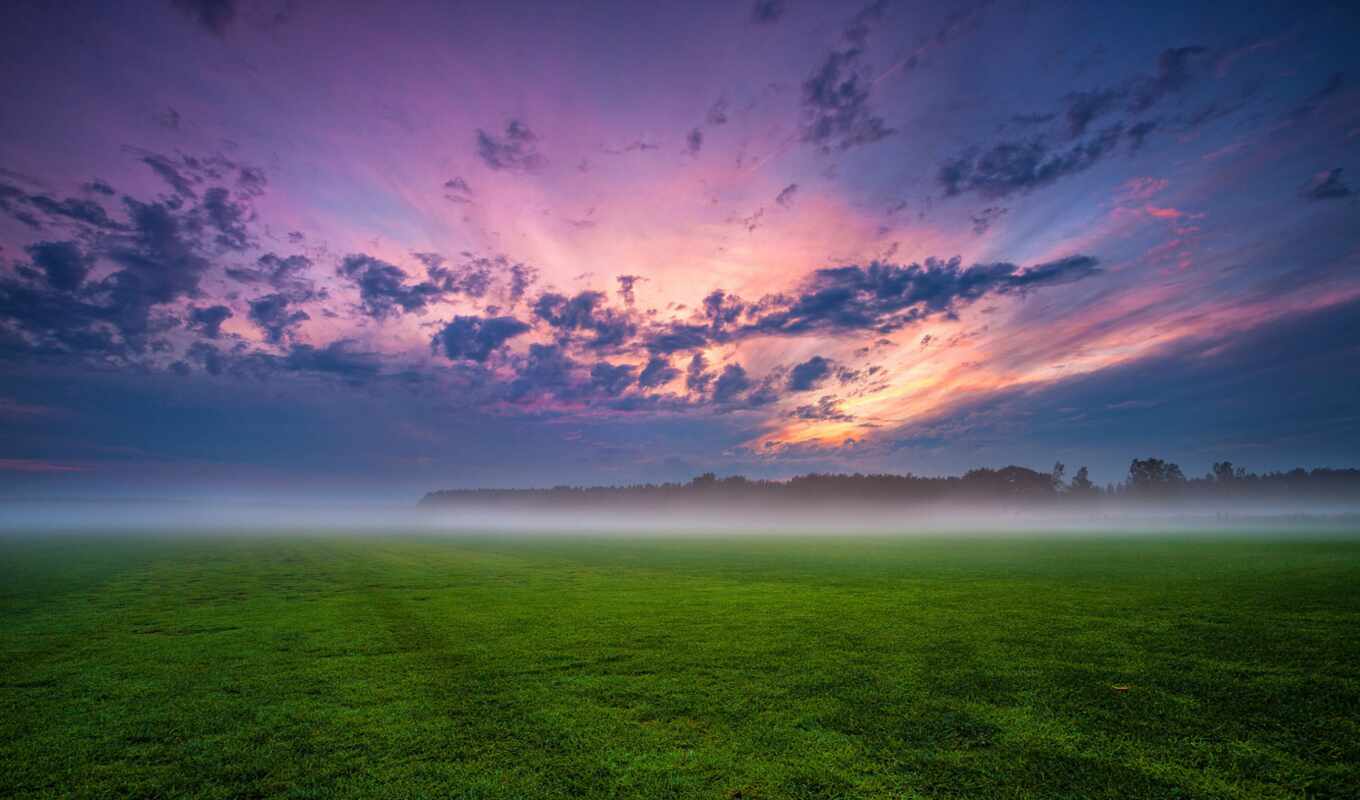 nature, sky, grass, sunset, night, field, Germany, trees, fog, clouds