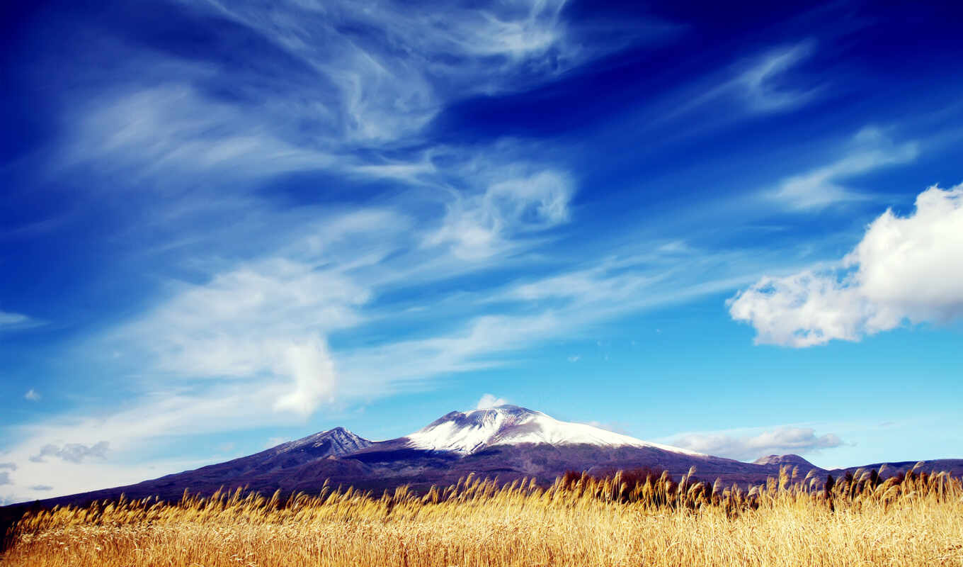 природа, небо, blue, white, трава, гора, поле, landscape, кипарис, weed, пшеница