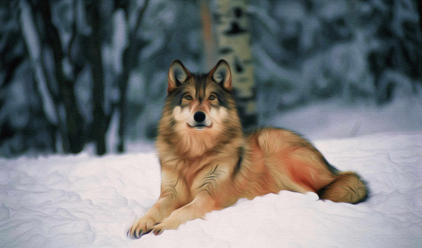 snow, predator, wolf, wolves, wolf, was, wallpaper, beast, one