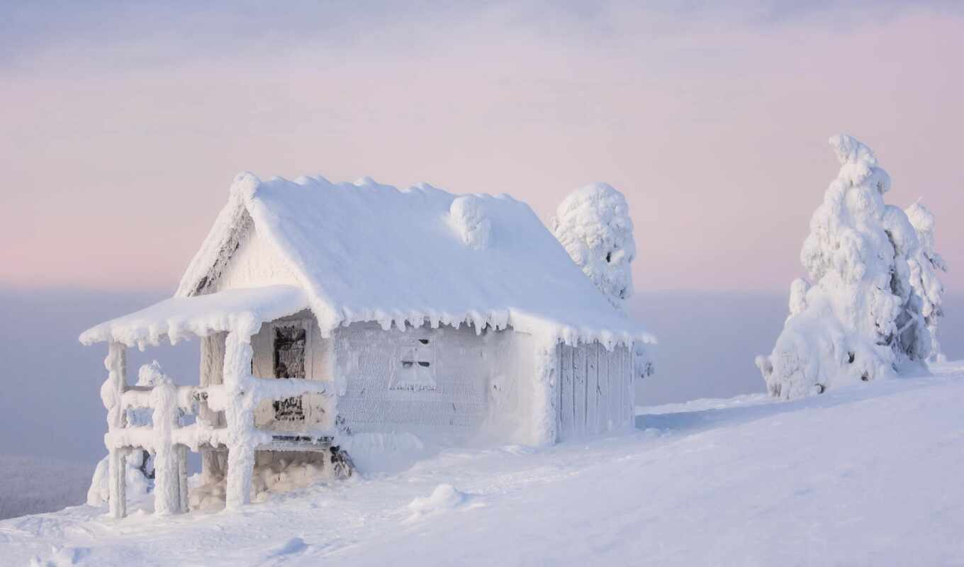 winter, landscape, dog, lapland, Finland