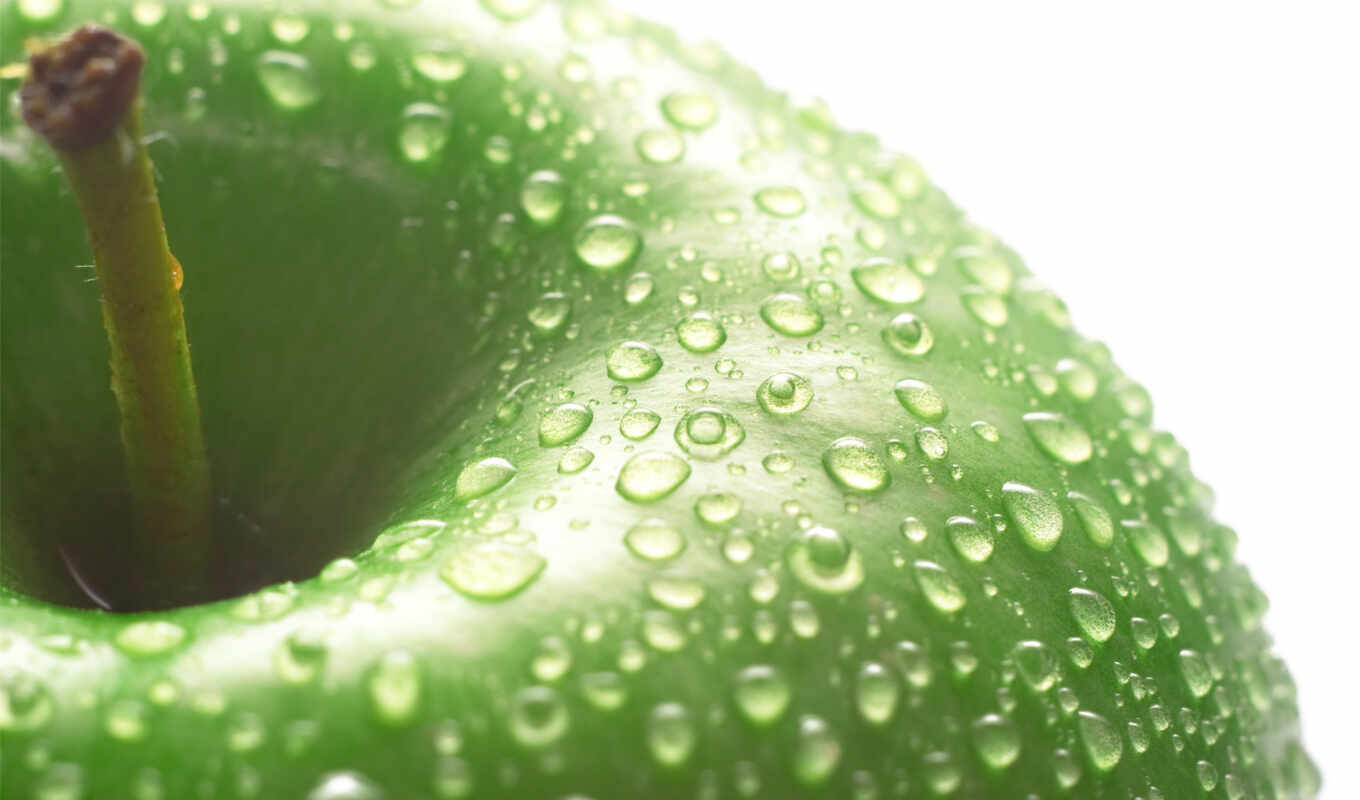 desktop, computer, image, green, water, collection, fresh, drops, macro, covered, dof, shallow