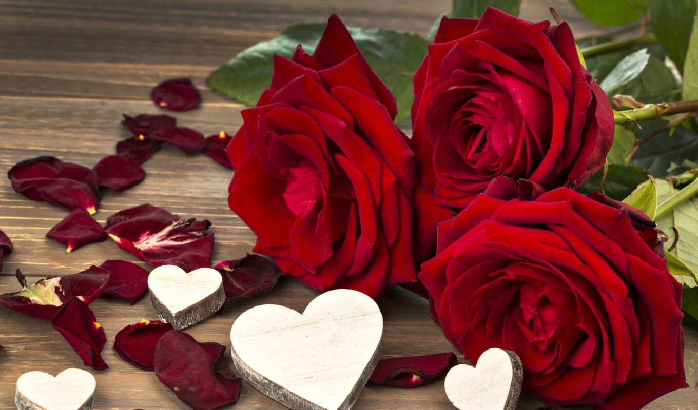 love, сердечки, рози, розы, день, valentine, святого, любовью
