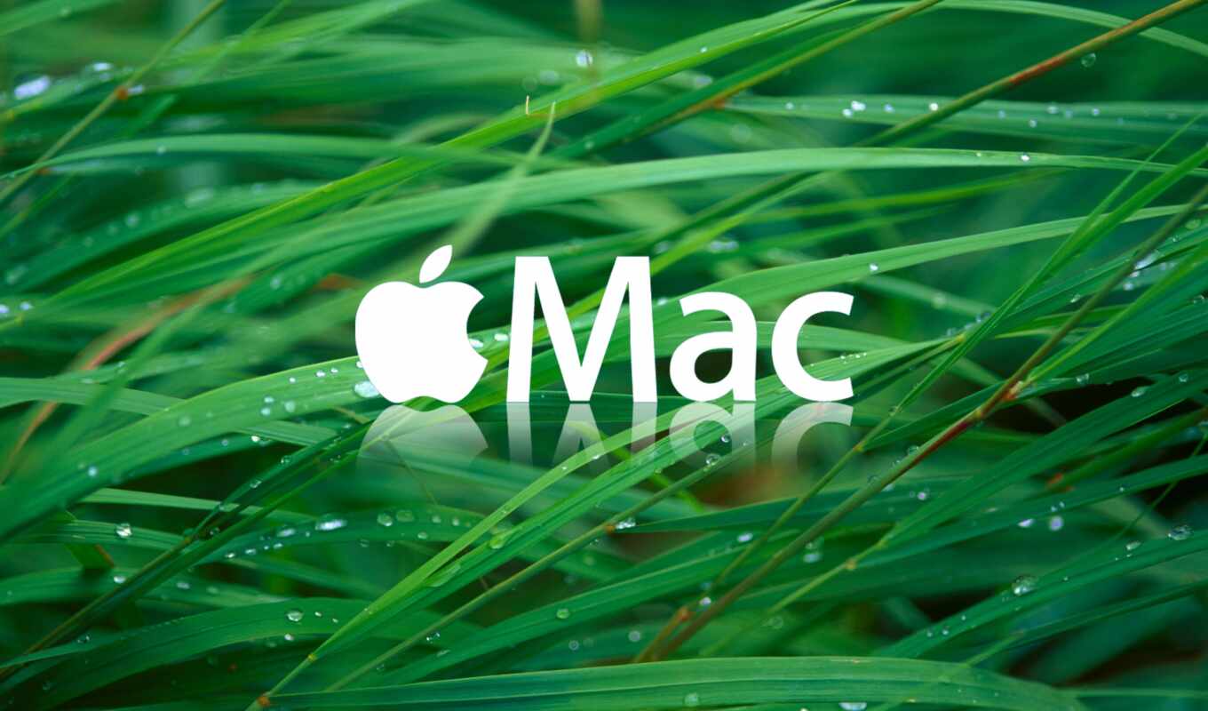 apple, mac, technology, ноутбук, окно, песочница, system, even, модный, maco