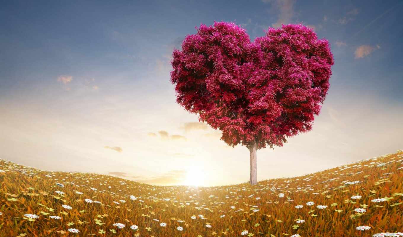 love, tree, heart, day, valentine