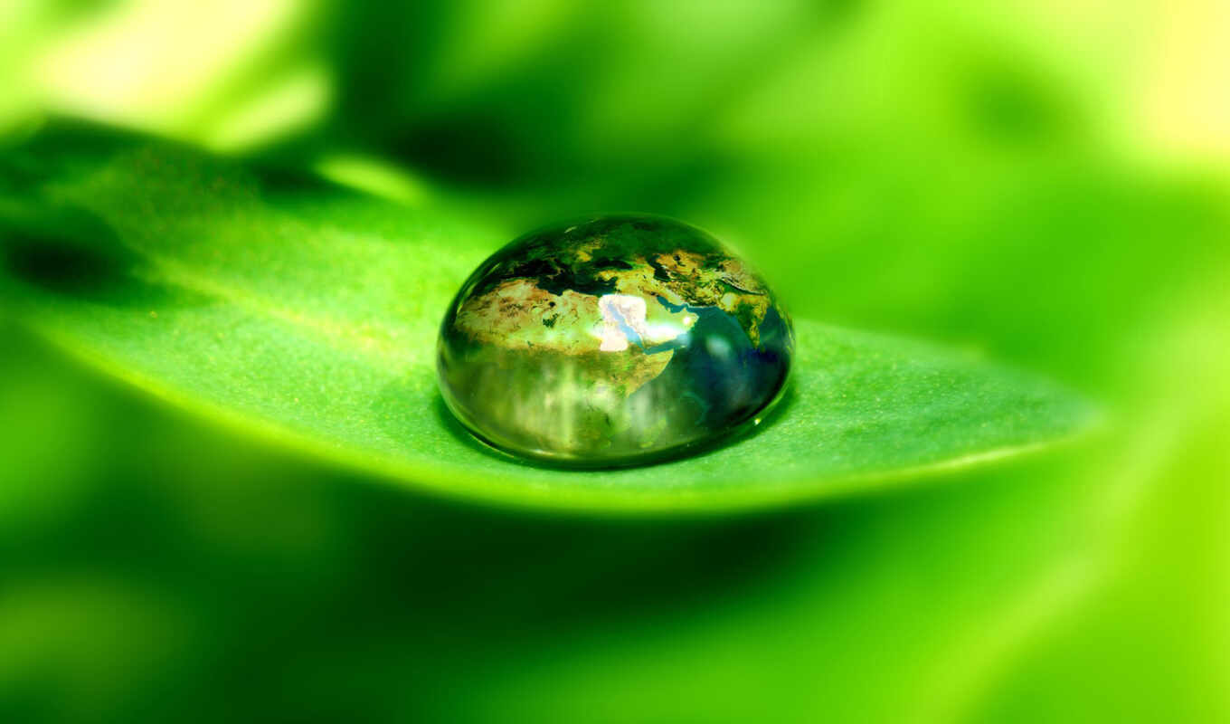 drop, samsung, water, view, macro, leaf