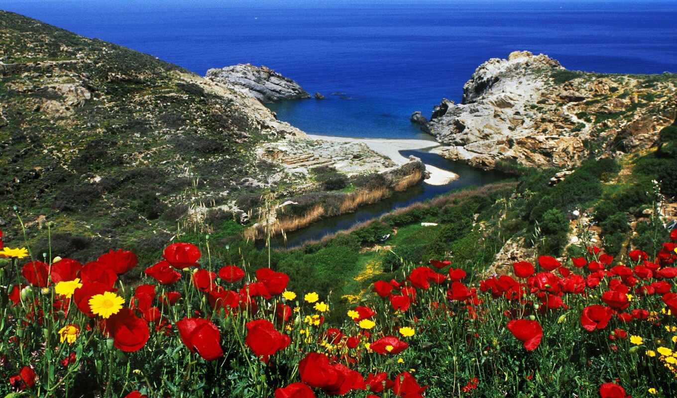 природа, греции, островов, flora, greek, fauna, ilovegreece