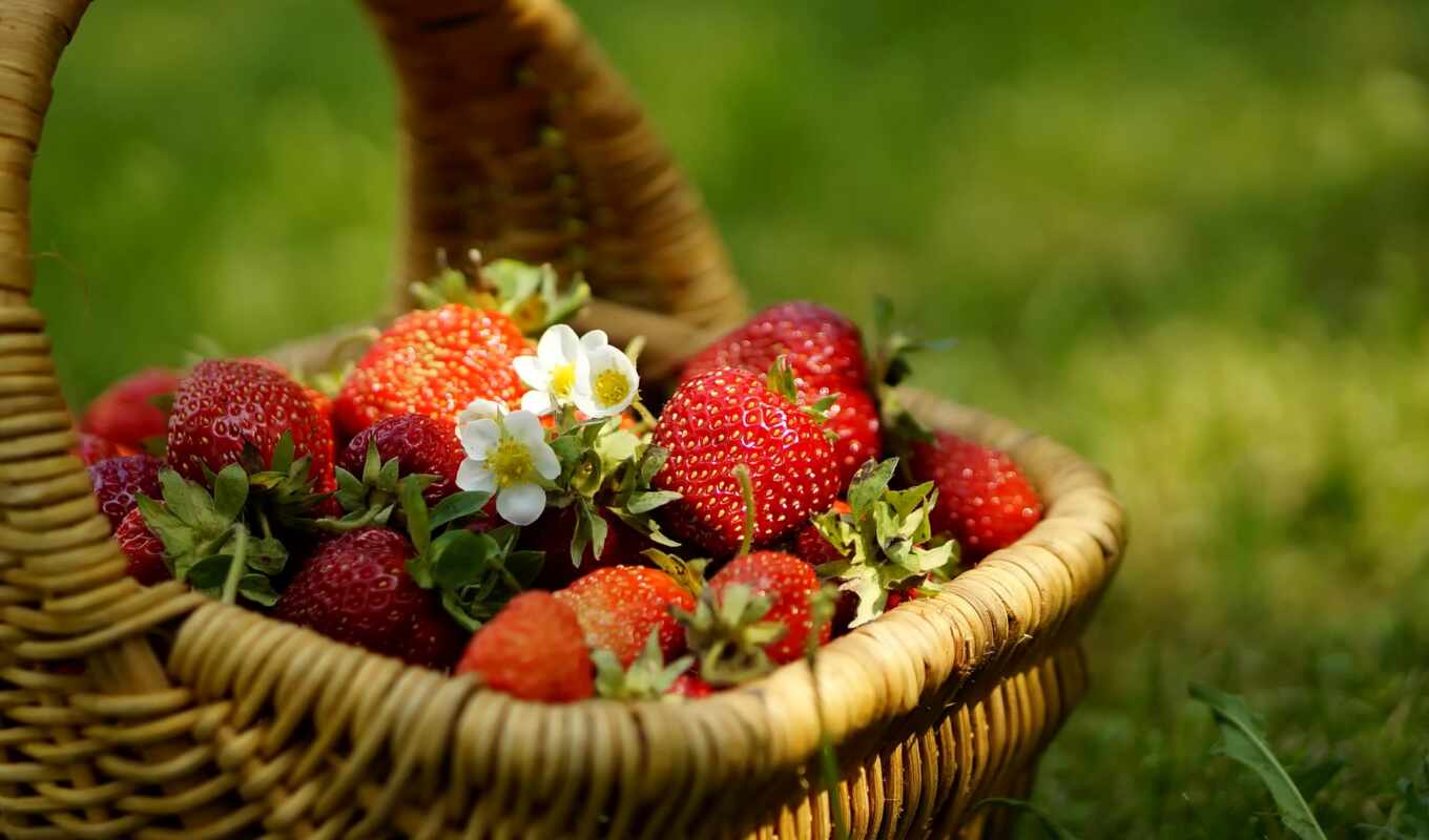 еда, бесплатные, летние, клубника, фрукты, корзине, ягоды