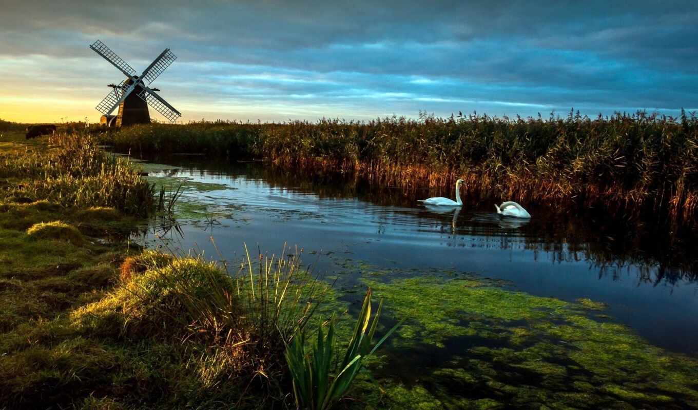 wind, England, mill, reed, windmill, pump up