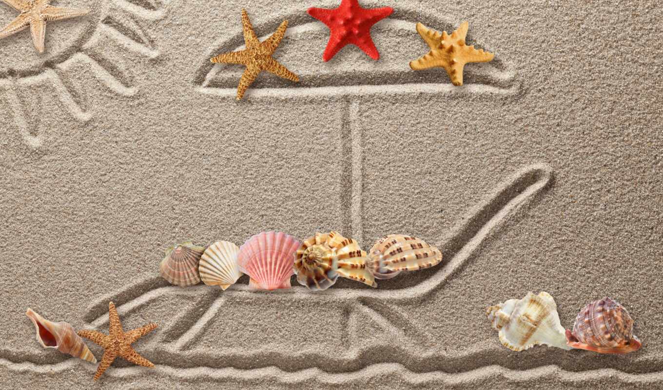 текстура, рисунок, песок, собака, кораллы, starfish, drawing, seashells, камни, ракушки