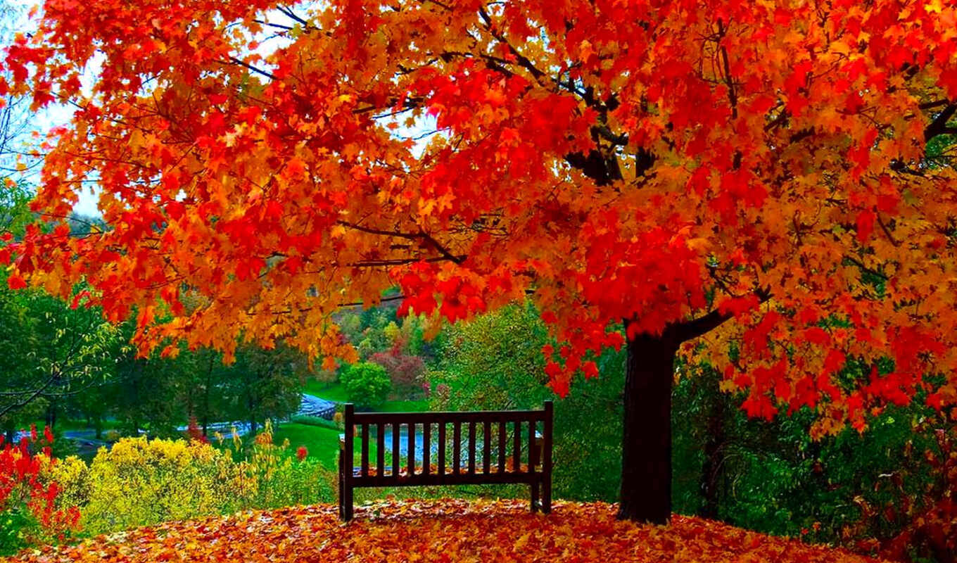 Красивые Осенние Фото Природы Скачать Бесплатно