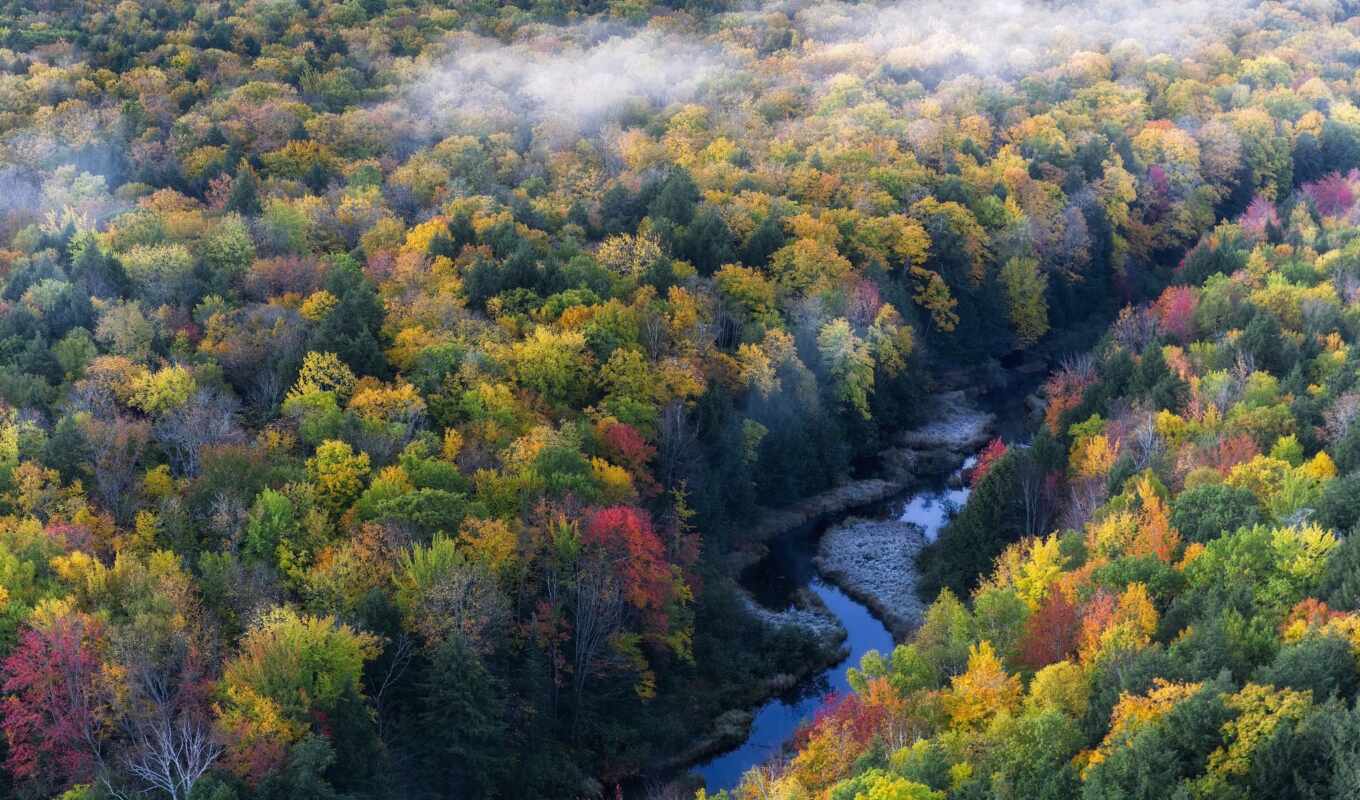 природа, лес, height, осень, река, туман