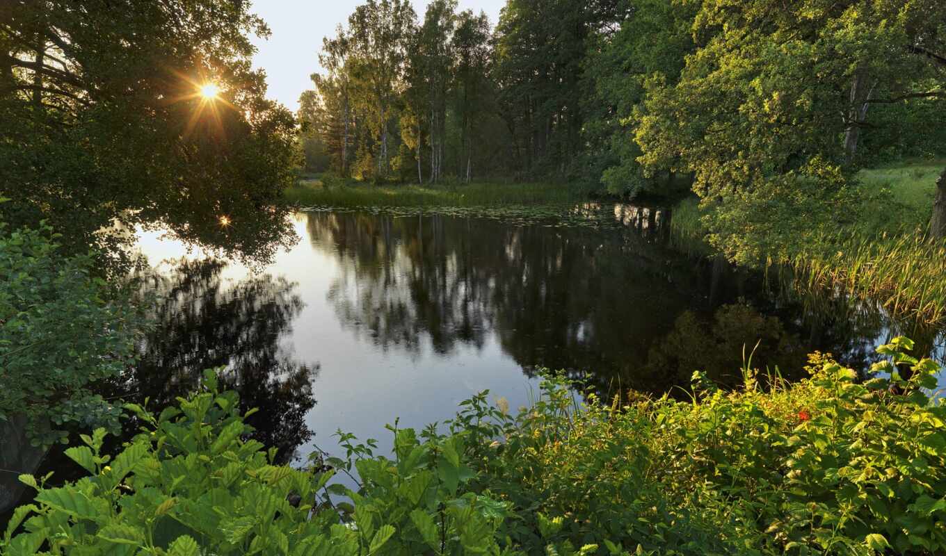 озеро, природа, пейзажи -, лес, landscape, красавица, очарование, природы, забор, горы