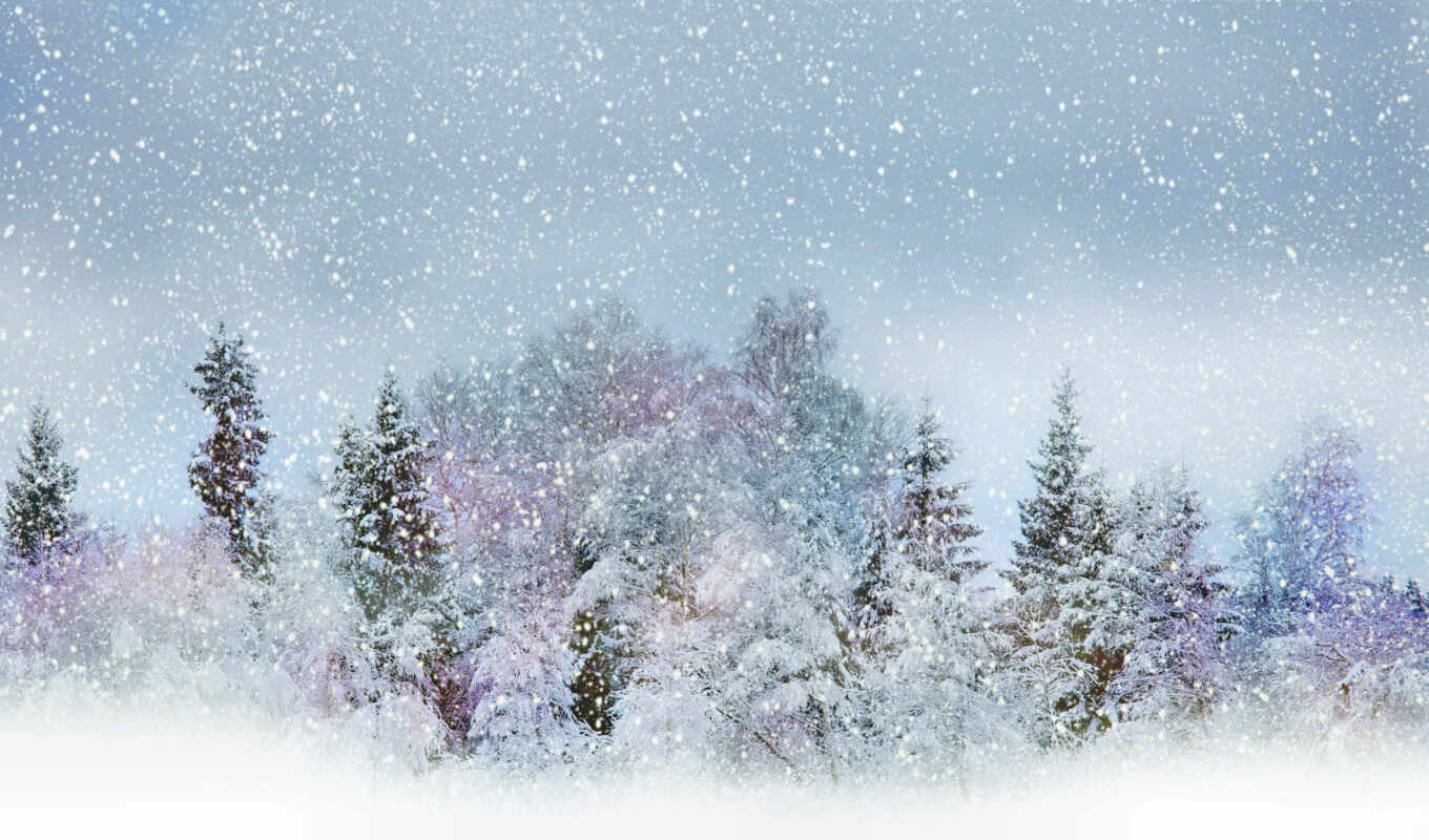 природа, картинка, снег, winter, лес, mix, бело, trees