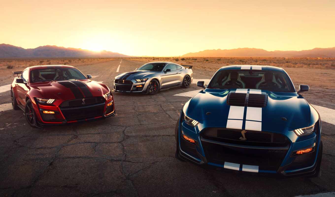 new, car, ford, mustang, shelby, fast, new
