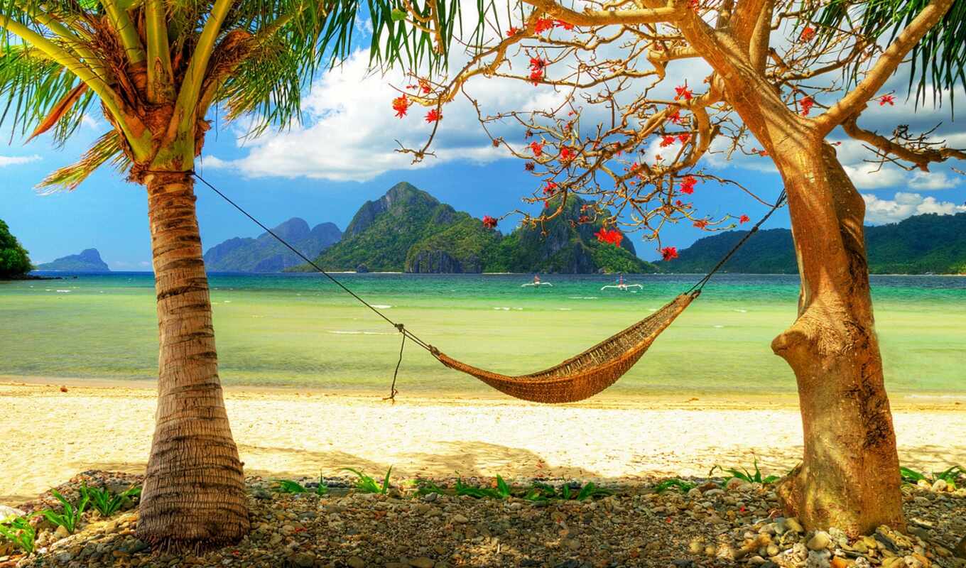 beach, coast, sand, palm trees, ocean, horizon, paradise, corner, boats, gamb, ostrovia