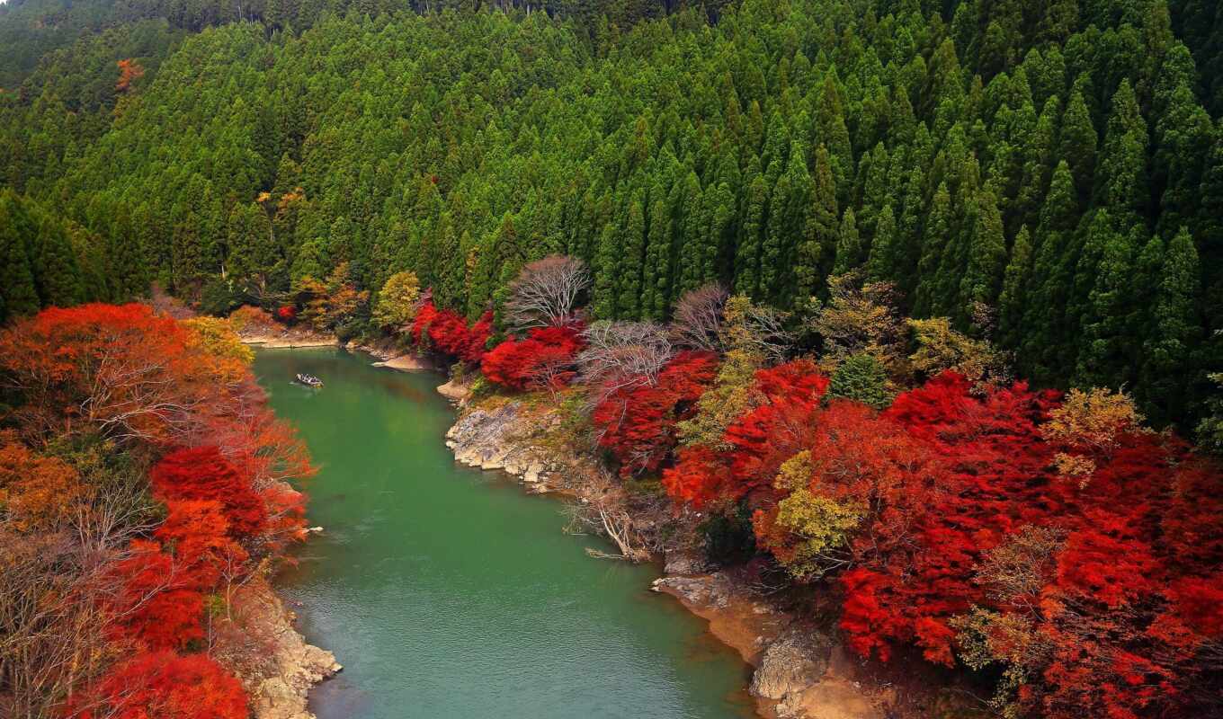 photo, forest, gallery, autumn, river, asia, miriadna