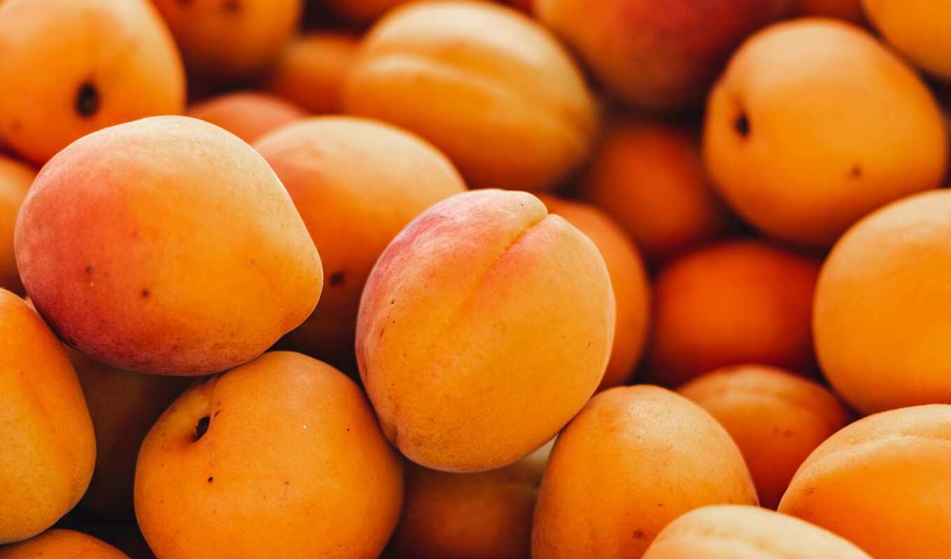 many, apricot, rare