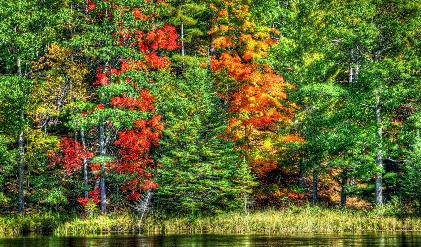 озеро, природа, лес, landscape, осень, пасть, color, leaf, пиковая картинка
