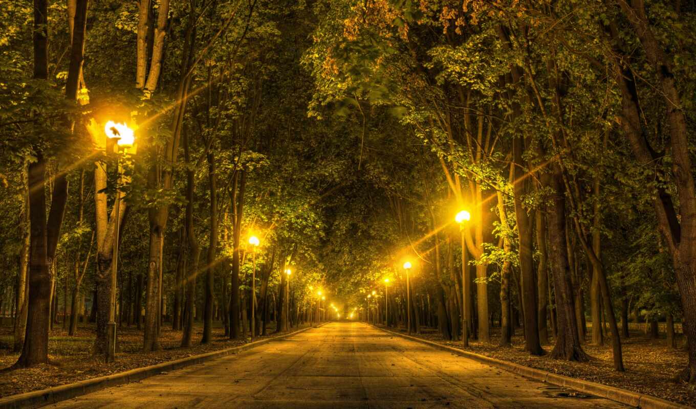 nature, collection, resolution, light, tree, night, street, park, expensive, lantern